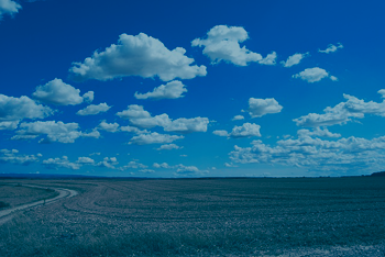 blue field - how to find a bookkeeper in sussex